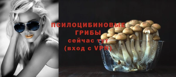 МДПВ Володарск