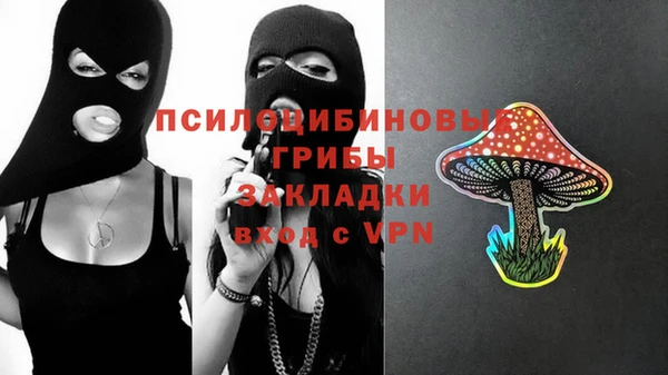 МДПВ Володарск