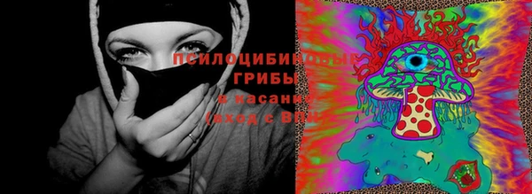 МДПВ Володарск