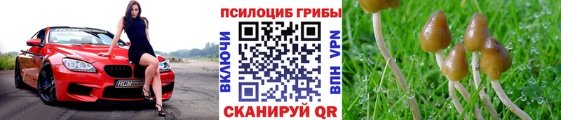 МЕГА онион  Пойковский  Галлюциногенные грибы мухоморы 